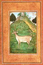A Mughal Painting