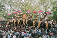 Kerala Festivals,Culture,Tourism,Pooram,India,