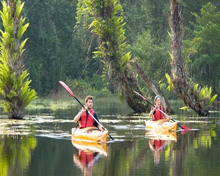 Kayaking in Kerala