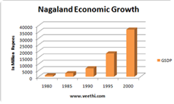 Economy Of Nagaland
