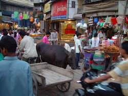 A Bazaar in Old Delhi
