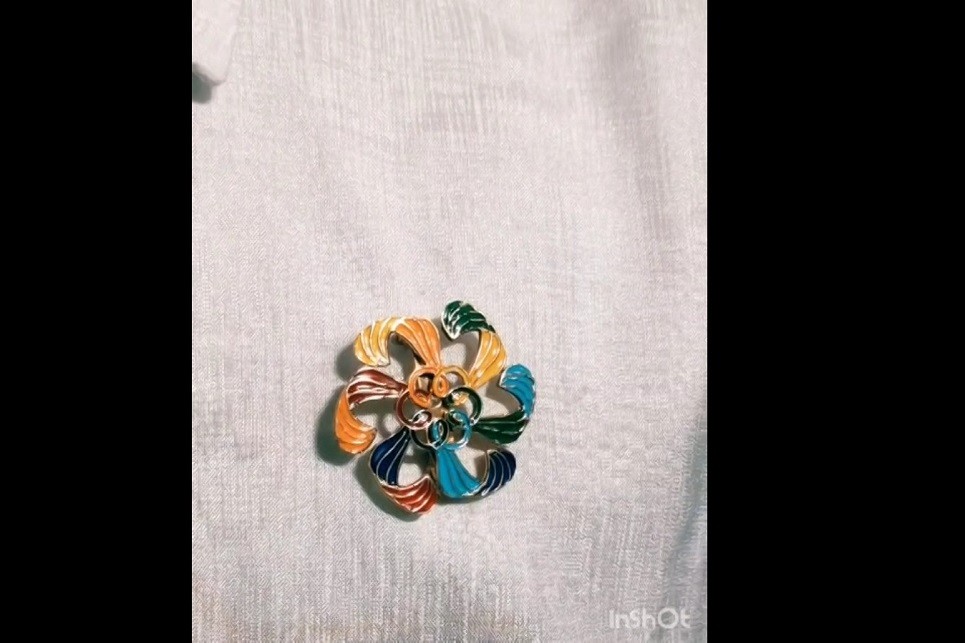 Indian Delphic Council Logo Pin