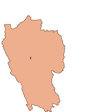 Mizoram Election Map