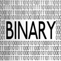 Binary System of number representation