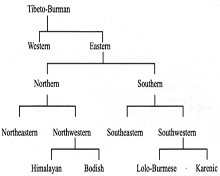 Languages speaks in Arunachal Pradesh