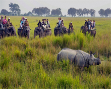 National Parks in Assam