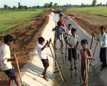 Hareli festivals of Chhattisgrah