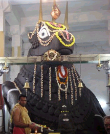 Bull Temple,Bangalore India