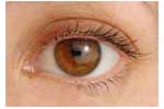 Tips For Eye Care