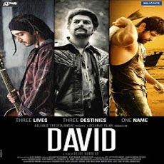 Vikram In David