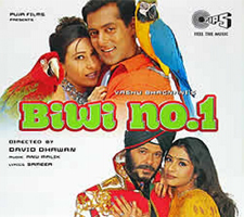 Salmaan in Biwi No 1 Salmaan in Biwi No 1