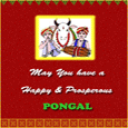  Pongal  Festival Card