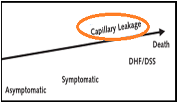 Clinical spectrum of dengue fever