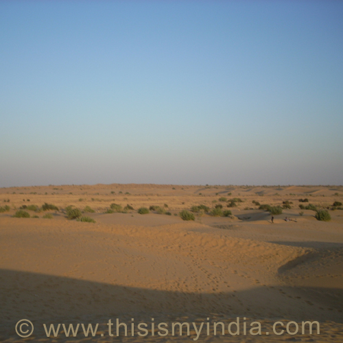 Rajasthan Desert,Jaisalmer,This is my India