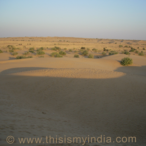 Thar Desert,Jaisalmer,This is my India
