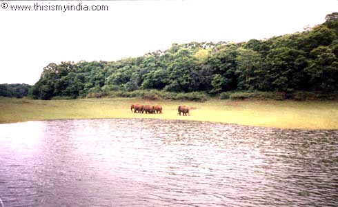 Kerala Images