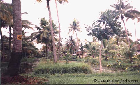 Coconut Lagoon,Kerala Images