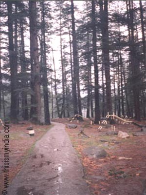 Manali Garden Images