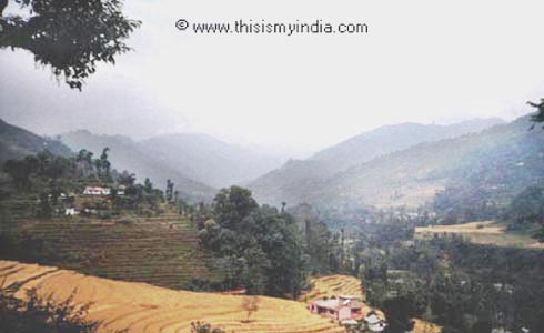 Valley, Sikkim, India