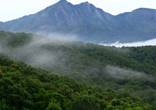 Silent Valley National Park of Kerala