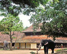 Punnathur Kotta Guruvayoor