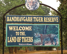 Bandhavgarh National Park