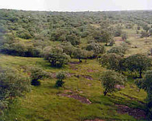 Madhav National Park