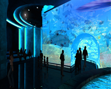 Taraporewala Acquarium of Maharashtra