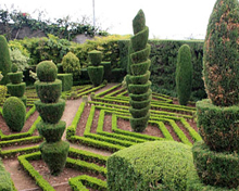 Pherozshah Mehta Gardens Maharashtra