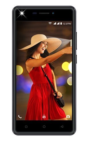 Intex 