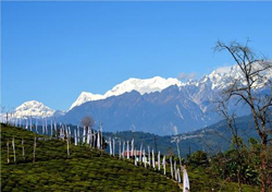 Sikkim Geography