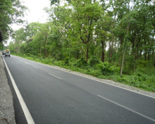 Sikkim Siliguri Gangtok Road