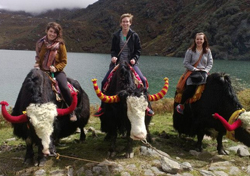 Sikkim Yak safari