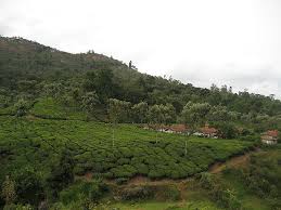 Mountain Range in Tamilnadu