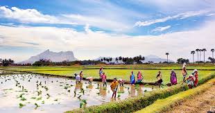 Monsoon Season Tamilnadu