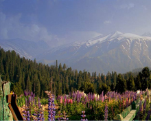 Gulmarg Hill Station