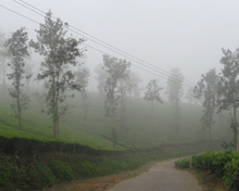 Tourist Places Near Wayanad