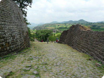 Vindhya hills and plateau