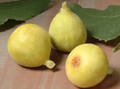 fig