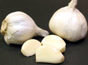 garlic