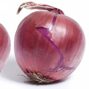 onion