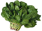 Spinach